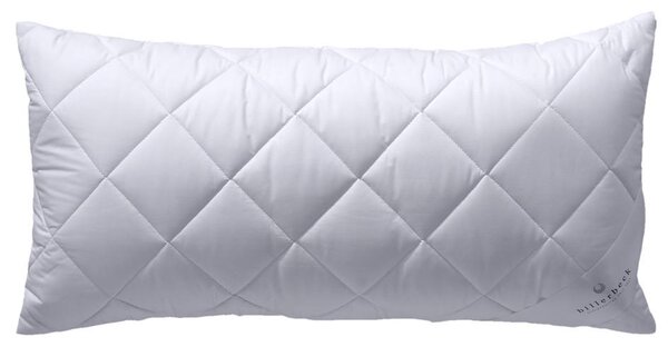 POLŠTÁŘ POD HLAVU, 40/80 cm Billerbeck - Polštáře pod hlavu, Online Only