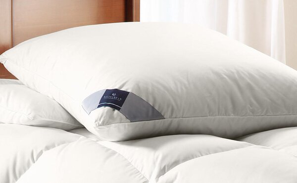 TŘÍKOMOROVÝ POLŠTÁŘ, 40/80 cm Billerbeck - Polštáře pod hlavu, Online Only