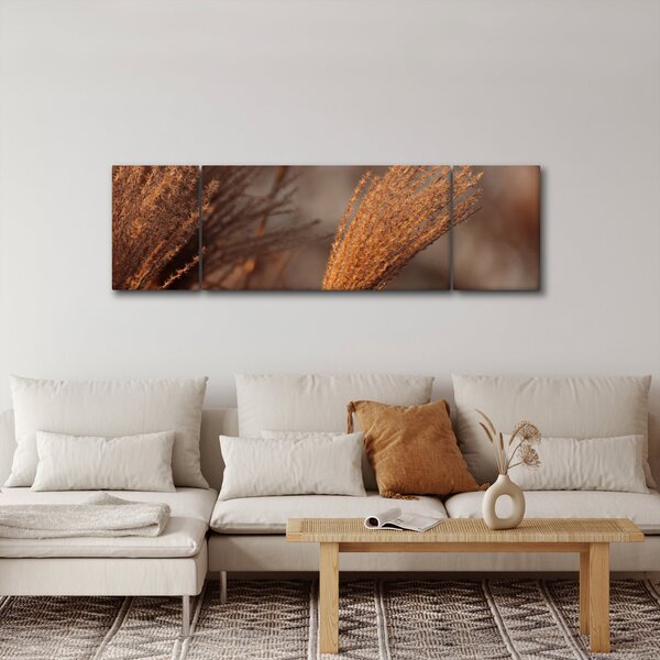 Obraz - Kortaderie (170x50 cm)