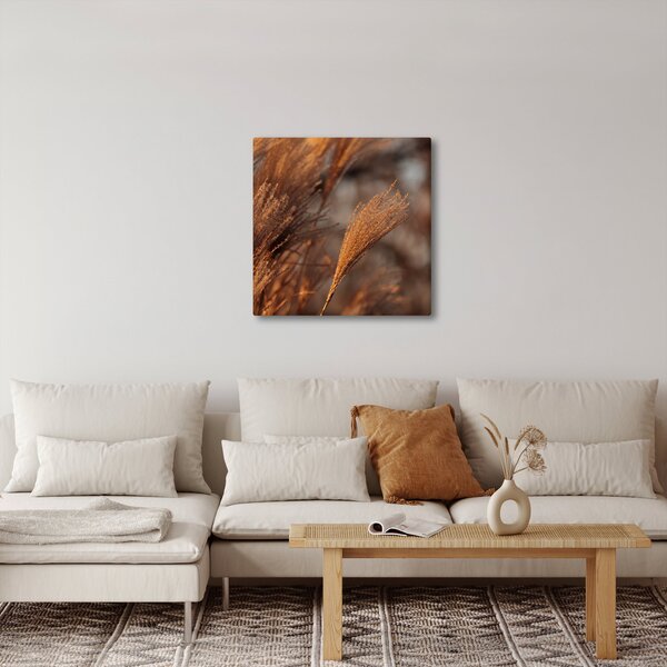 Obraz - Kortaderie (30x30 cm)
