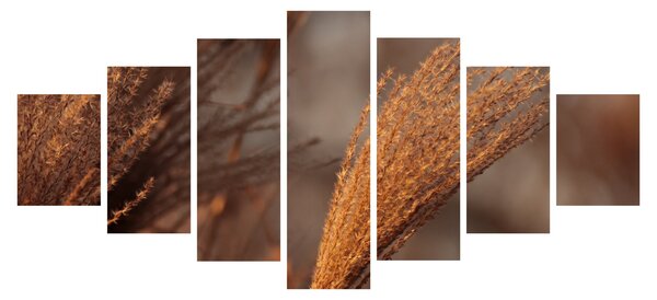 Obraz - Kortaderie (210x100 cm)