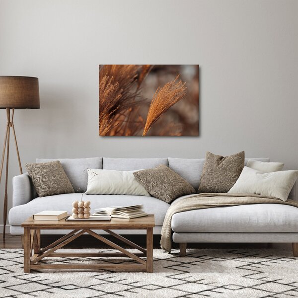 Obraz - Kortaderie (70x50 cm)