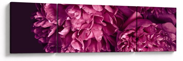 Obraz - Kytice pivoněk (170x50 cm)