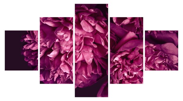 Obraz - Kytice pivoněk (125x70 cm)