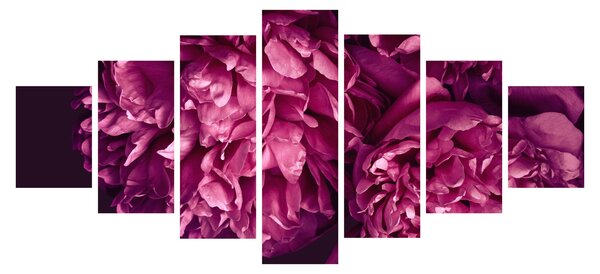 Obraz - Kytice pivoněk (210x100 cm)