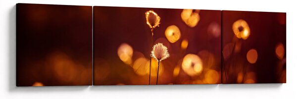 Obraz - Ráno (170x50 cm)
