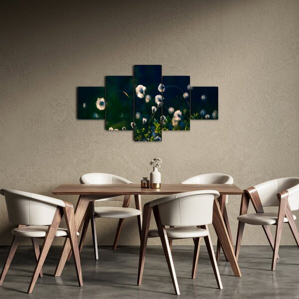 Obraz - Tráva (125x70 cm)