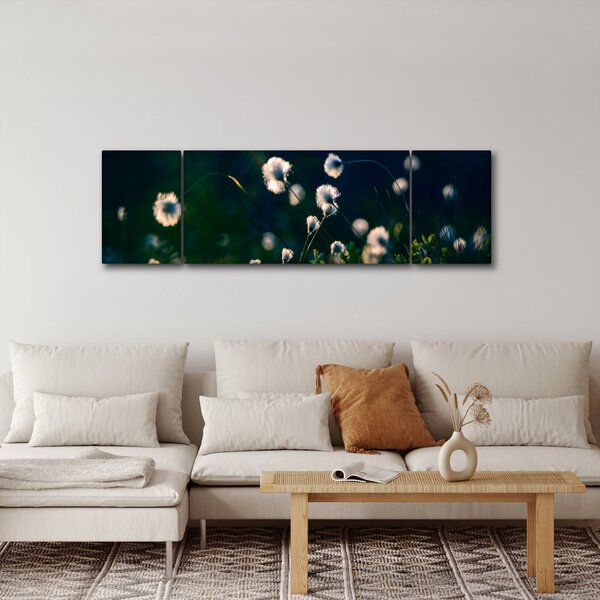 Obraz - Tráva (170x50 cm)