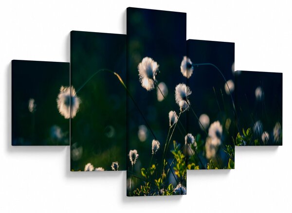Obraz - Tráva (125x70 cm)