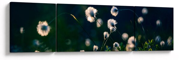 Obraz - Tráva (170x50 cm)