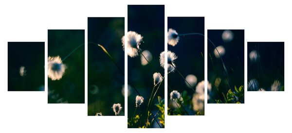 Obraz - Tráva (210x100 cm)