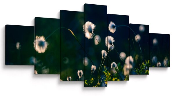 Obraz - Tráva (210x100 cm)