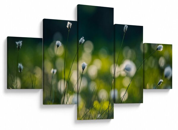 Obraz - Tráva (125x70 cm)