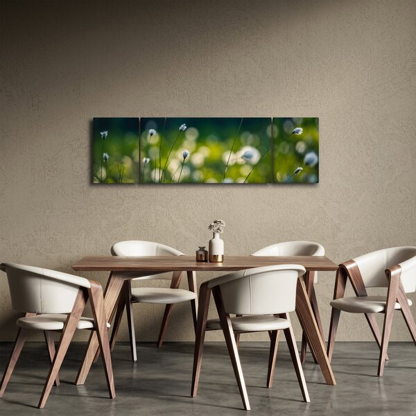 Obraz - Tráva (170x50 cm)