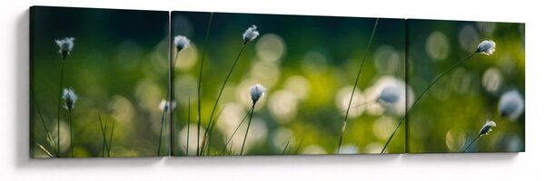 Obraz - Tráva (170x50 cm)