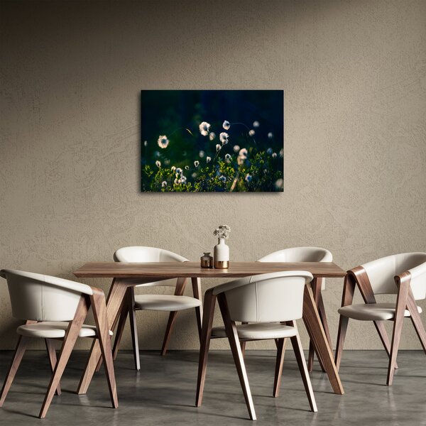 Obraz - Tráva (70x50 cm)