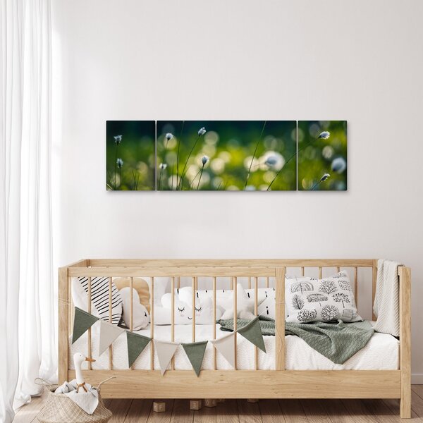 Obraz - Tráva (170x50 cm)