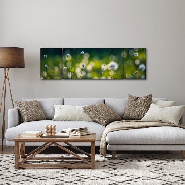 Obraz - Tráva (170x50 cm)