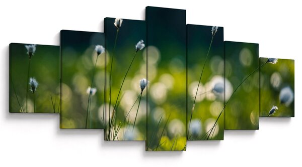 Obraz - Tráva (210x100 cm)