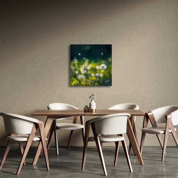 Obraz - Tráva (30x30 cm)
