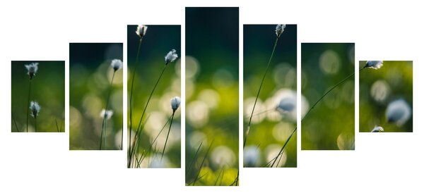 Obraz - Tráva (210x100 cm)