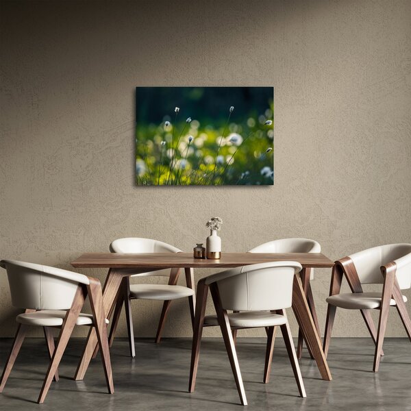 Obraz - Tráva (70x50 cm)