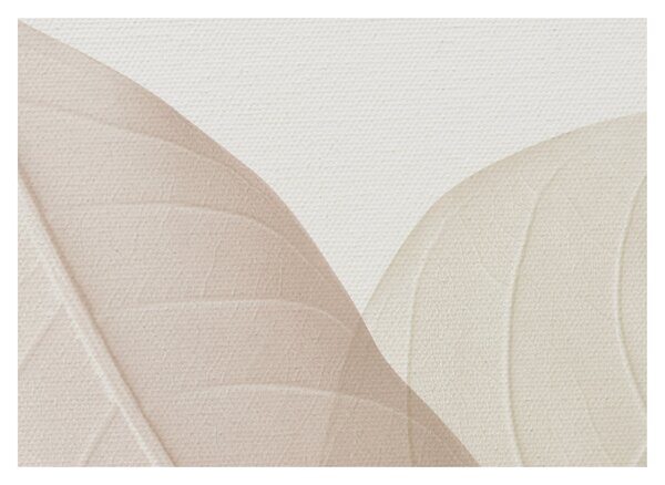Obraz - Texturované listy (70x50 cm)