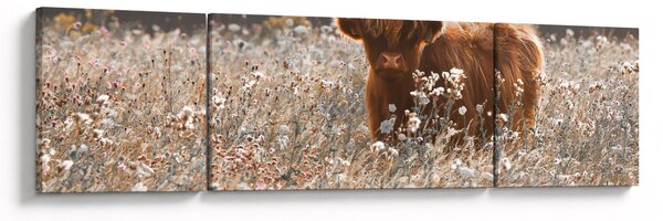 Obraz - Skotská kráva v kvítí (170x50 cm)