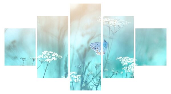 Obraz - Motýlek v modrém (125x70 cm)