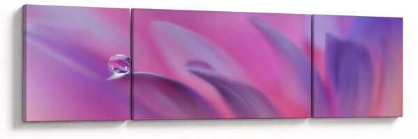 Obraz - Kapka na květu (170x50 cm)