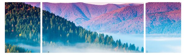 Obraz - Panorama 2 (170x50 cm)
