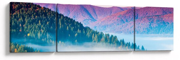 Obraz - Panorama 2 (170x50 cm)