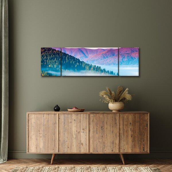 Obraz - Panorama 2 (170x50 cm)