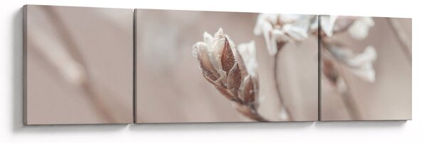 Obraz - Detail větve (170x50 cm)