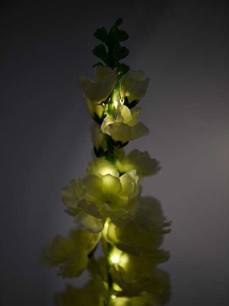 Sinsay - Solární zahradní lampa ve tvaru květin - bílá