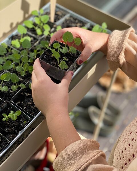 Stojan na květiny Plant Box Cashmere