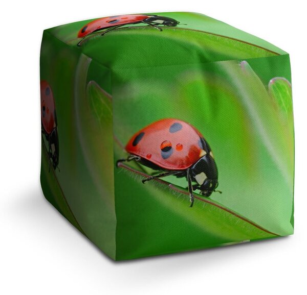 Taburet Cube beruška na listu, zelená