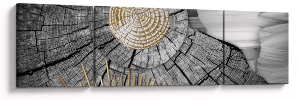 Obraz - Kmen stromu v koláži (170x50 cm)