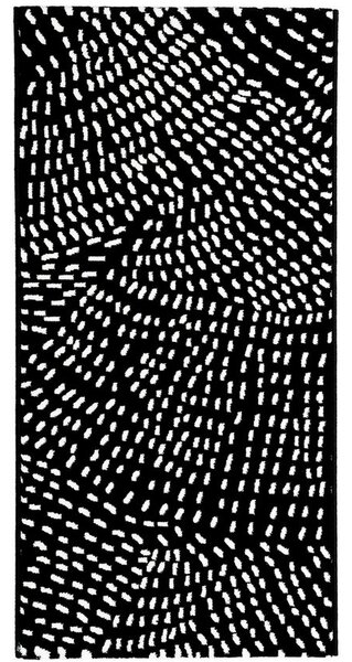 Breno Kusový koberec INK 463 007/AF900, 80x140 cm, Černá