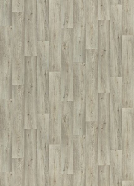 Breno PVC AMBIENT Silk Oak 916L – šedé dřevo, šíře 200 cm