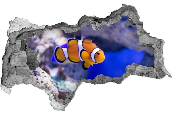 Díra 3D fototapeta Korálový útes nd-b-120479478