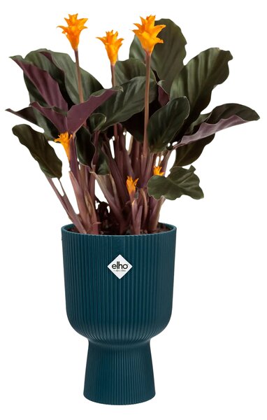 Elho plastový květináč Vibes fold Coupe deep blue Ø 14 cm