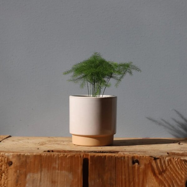 Květináč Eno Duo white Ø 7 cm