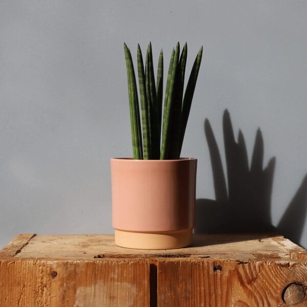 Květináč Eno Duo dusty pink Ø 10 cm