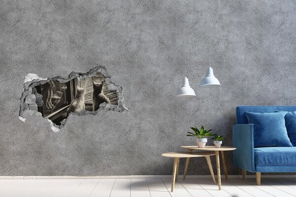 Díra 3D fototapeta nálepka Kočky u okna nd-b-86646592
