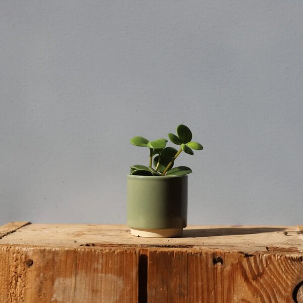 Květináč Eno Duo dusty green Ø 6 cm