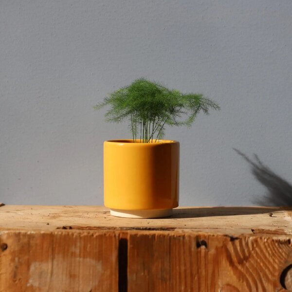 Květináč Eno Duo ocher Ø 7 cm