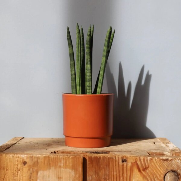 Květináč Eno Matt terracotta Ø 10 cm
