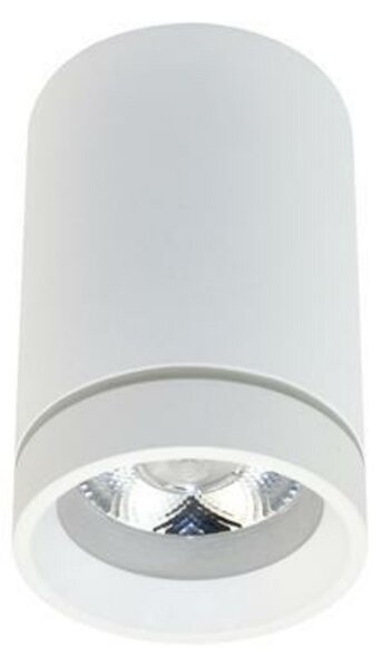 LED Stropní bodové přisazené svítidlo AZzardo Bill white AZ3375 10W 850lm 4000K IP20 6,5cm bílé