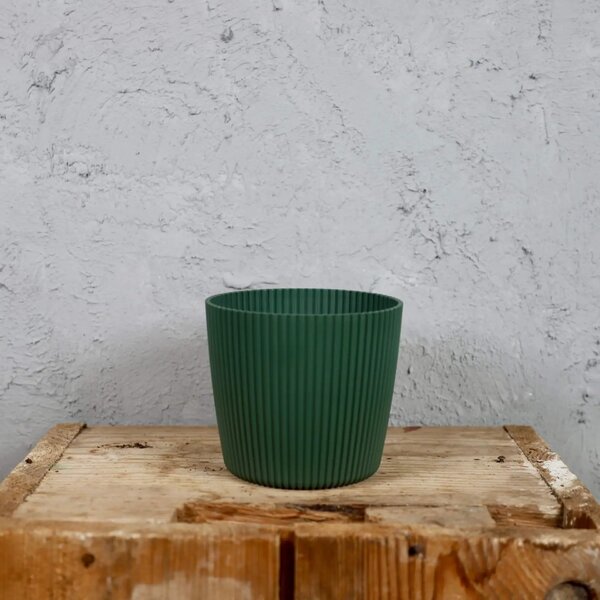 Prosperplast plastový květináč Milly round pine green Ø 10 cm